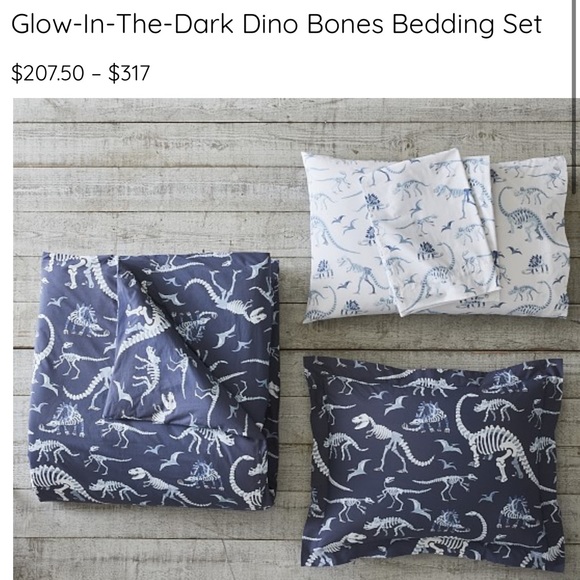 Pottery Barn Kids Other Pottery Barn Kids Single Dinosaurs Glow In